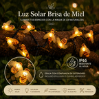 Luz Solar Brisa de Miel