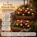 Luz Solar Brisa de Miel